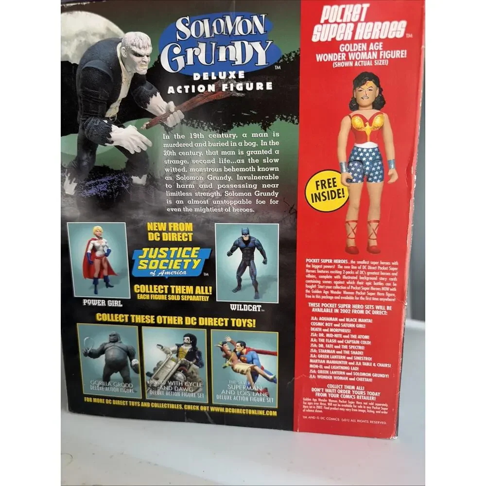 Solomon Grundy Deluxe Justice Society of America DC In Box Complete Wonder Woman